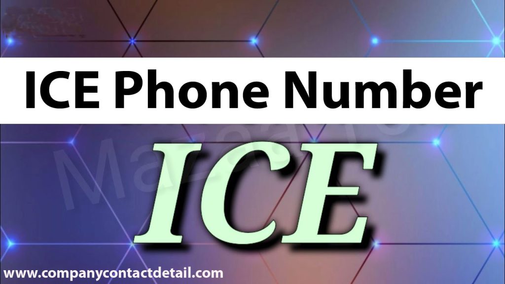 Ice Phone Number, Hotline Immigration