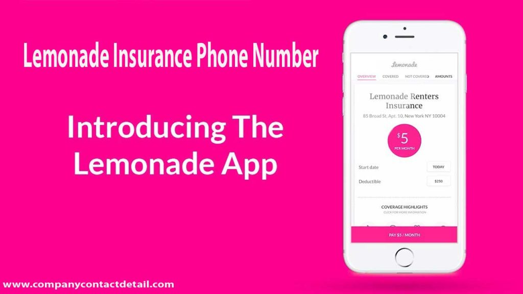 Lemonade Insurance Phone Number, Rental Insurance Sign
