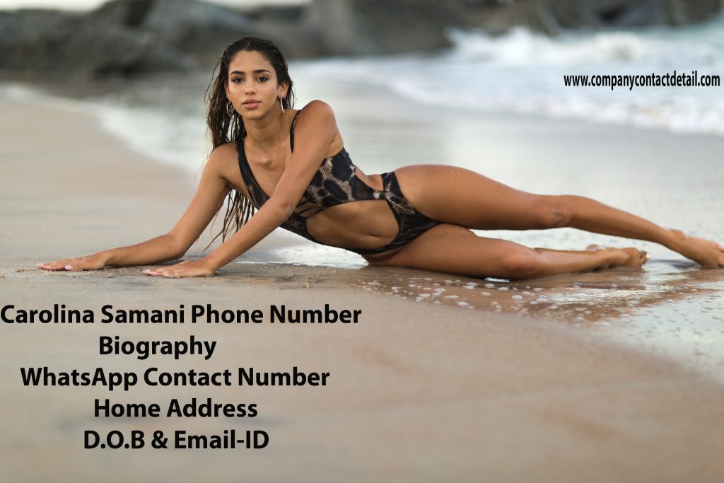 Carolina Samani Phone Number, Amul Distributors List