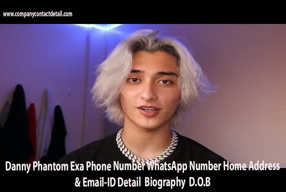 Danny Phantom Exa Phone Number, Wattpad Fanfiction Danny Phantom