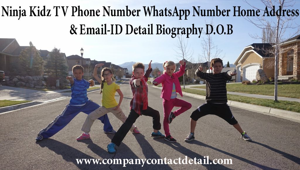 Ninja Kidz TV Phone Number, Whatsapp Number and Email-ID DEtail, Biography, Home Address