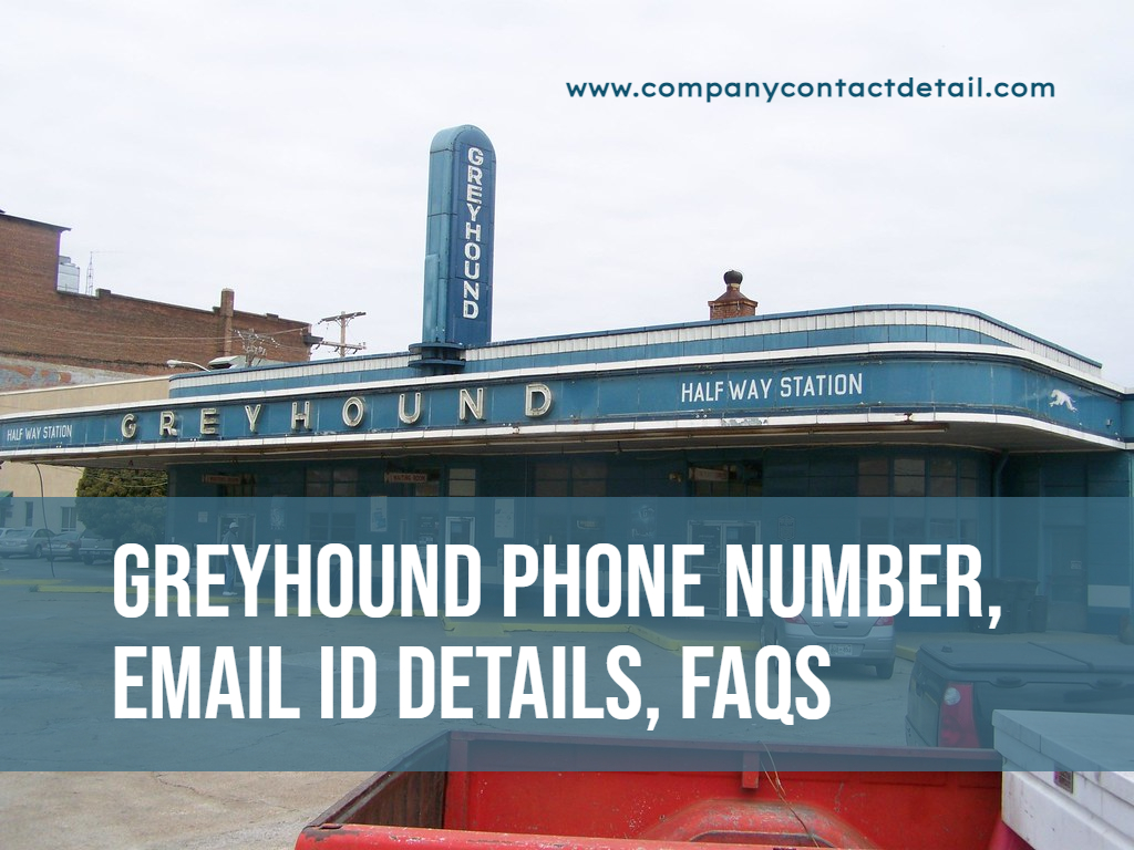 Greyhound Phone Number